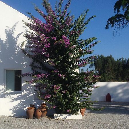 Monte Das Texugueiras - Adults Only Exterior photo