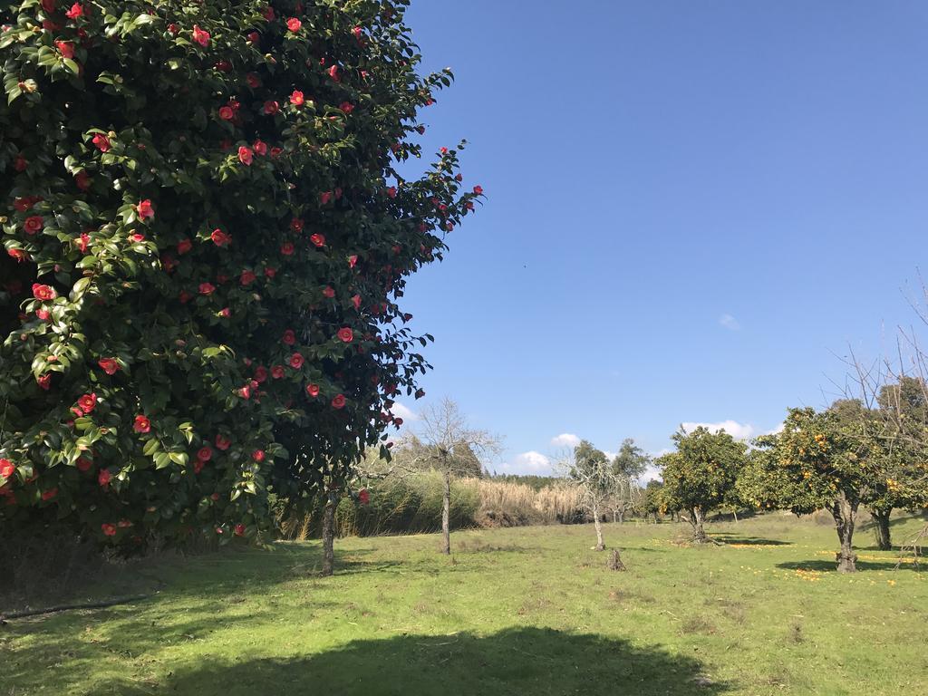 Monte Das Texugueiras - Adults Only Exterior photo